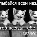 ���� �������., ��������� - ��������� 2 ����� 2014 � ������ ������ ��������