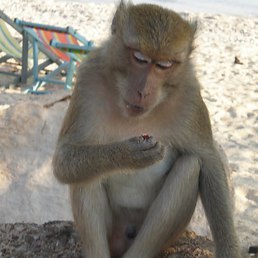 S�rg., ��������, 45 ���