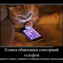  Sergei, , 60  -  4  2013    