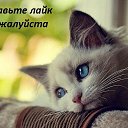 ���� ����, ����������� - ��������� 19 ������� 2013 � ������ ���� ����������