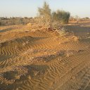 06 ������� �������� �������� 2012 ���� �� ������� ��������