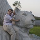 ���� 2013�.