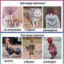 ���� ������, �������, 51 ��� - ��������� 9 �������� 2013 � ������ ���� ����������