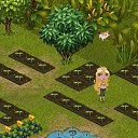 ���� ����, ������ - ��������� 13 ������� 2013 � ������ �Tropikania�