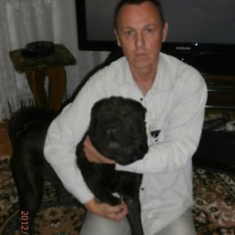 �����������, �����, 50 ���