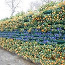 ���� �������, ������ - ��������� 19 ������� 2014 � ������ ��������˻