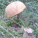 ���� �����, �����-���������, 57 ��� - ��������� 17 �������� 2013 � ������ ���� ����������