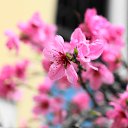 ���� ������, �����-���������, 61 ��� - ��������� 31 ������� 2013 � ������ ������� ������ 2013�