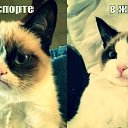 ���� ���, ������ - ��������� 18 ������� 2013 � ������ ���������