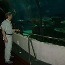 �������� ��������� �� ������� ���������� ����