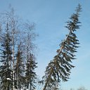 ���� ������, �����, 62 ���� - ��������� 10 ������� 2013 � ������ ���� ����������
