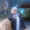 ���� ����, ����-���������, 56 ��� - ��������� 24 ������ 2014 � ������ ���� ����������