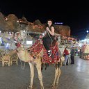 ���� Inga, ������ - ��������� 3 ������� 2014 � ������ �EGYPT 2014�