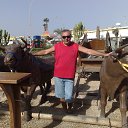 ���� ������, ������, 64 ���� - ��������� 9 ������� 2013 � ������ ���� ����������