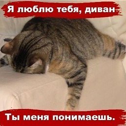 ���� �����, ������, 46 ��� - ��������� 28 ������ 2014