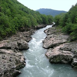 ��������, ���������