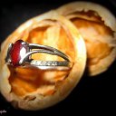 ���� Nata Li Legata, ��������� - ��������� 8 ������� 2013 � ������ ������.�