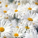 ���� �����, ������ �������� - ��������� 10 ����� 2014 � ������ ���� ����������