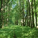 ���� ������, ������ - ��������� 27 �������� 2013 � ������ ���� ����������