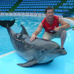 ���� ������, ��������, 48 ��� - ��������� 21 ������� 2013