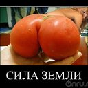 ���� ����, �����, 43 ���� - ��������� 17 ������� 2013 � ������ �����