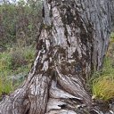 ���� ������, ������� ���� - ��������� 8 ������� 2013 � ������ ���� ����������