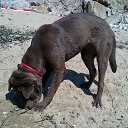 ���� Krasotkanell, ����������� - ��������� 5 �������� 2013 � ������ ���� ������...�