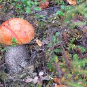 ���� ������, ������, 57 ��� - ��������� 9 �������� 2013 � ������ ���������