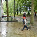 ���� ���������, �����, 33 ���� - ��������� 16 �������� 2013 � ������ ������� ������ 2008�