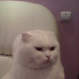 ���� Sergei, ��������� - ��������� 5 ������� 2013
