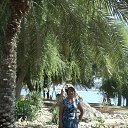 ���� �����, ���������, 64 ���� - ��������� 13 ������ 2013 � ������ ������ � �����