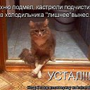 ���� �����, ������, 47 ��� - ��������� 15 ������ 2013 � ������ �.....�