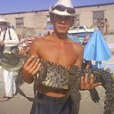 ���� �������, ���������, 39 ��� - ��������� 17 ������ 2014