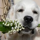 ���� ������, ������, 65 ��� - ��������� 3 �������� 2013 � ������ ���� ����������