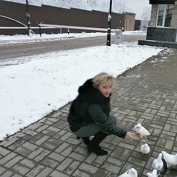 �����, ������, 52 ����