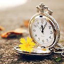 ���� Angel, �����-���������, 40 ��� - ��������� 11 ����� 2014 � ������ ������ ��������