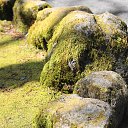 ���� ������, �����-���������, 61 ��� - ��������� 31 ������� 2013 � ������ ������� ������ 2013�