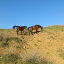 ...http://fotostrana.ru/user/73018381/album/103143817/photos/2177154107/    