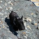 ������� ��� �� ������� �����