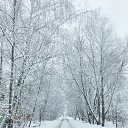 29 ������ 2013 ���� �� ������� ������������� �����