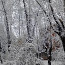 ���� Olga, �����������-��-����� - ��������� 15 ������� 2013 � ������ ���� ����������