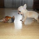 ���� ���-��-���, �����-���������, 59 ��� - ��������� 22 ������ 2013 � ������ ������ ��������