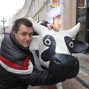 ���� ������, ���������, 49 ��� - ��������� 29 ������� 2013 � ������ ���� ����������