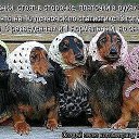 ���� ������� ��������, ����������, 74 ���� - ��������� 9 ����� 2014 � ������ ���� ����������