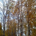 ���� �������, �����������, 61 ��� - ��������� 10 ������ 2013 � ������ ���� ����������