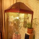 ���� �������, �������, 53 ���� - ��������� 6 ������� 2013 � ������ ���� ����������