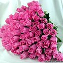 ���� ***Zapretnyi Plod***, �������, 48 ��� - ��������� 25 ������� 2014 � ������ ���� ����������