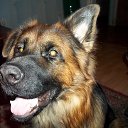 ���� ������, �����-��������� - ��������� 13 ����� 2014 � ������ ������ ��������