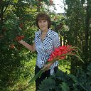 ���� ������� �������, ������, 71 ��� - ��������� 25 ������� 2013