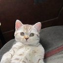 ���� Sergei, �����-��������� - ��������� 11 ������� 2013 � ������ ���� ����������